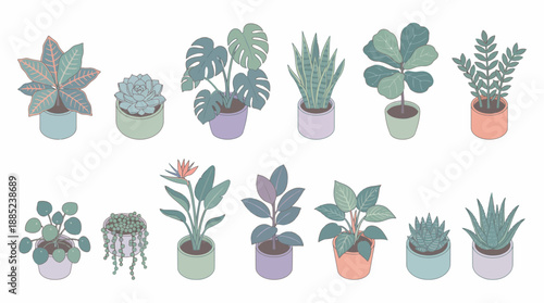 Isometric collection of various popular potted indoor houseplants and succulents illustrations on white background, concept for botanical design, home decor illustration and digital graphic assets