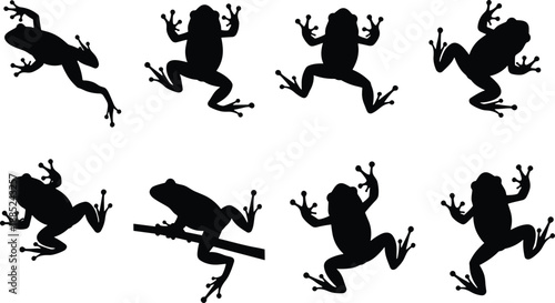 Frog silhouette vector set, amphibian poses, black frog clipart, jumping frog, sitting frog, wildlife illustration, nature, animal, reptile