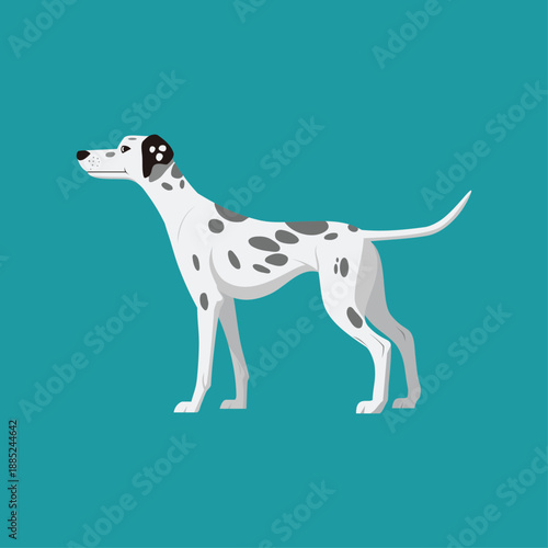 illustration of white dog standing with blue background