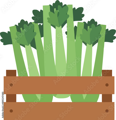 Fresh celery stalks in wooden crate vector illustration for organic farm and healthy food concepts