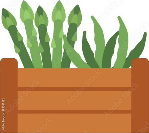 Fresh green asparagus in wooden crate vector illustration for organic farm and healthy food concepts