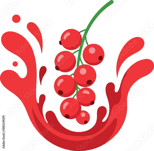 Red currant berries with juice splash vector illustration for food and beverage design