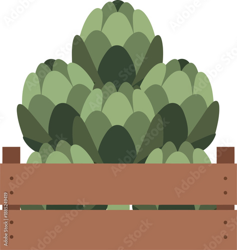 Fresh artichokes in wooden crate vector illustration for farmers market and organic produce designs