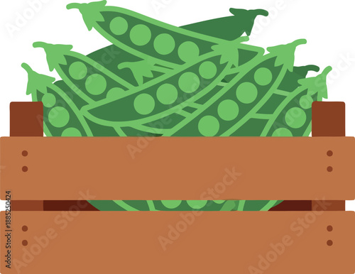 Fresh Green Peas in Wooden Crate Vector Illustration for Organic Farm and Market Design