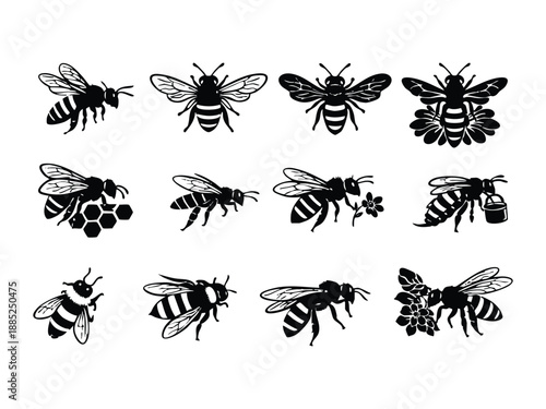 Set of Realistic Bee  Vector Illustration