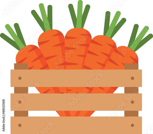 Fresh organic carrots in wooden crate vector illustration for farm market and healthy food concepts