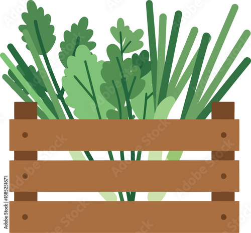 Fresh Organic Herbs in Wooden Crate Vector Illustration for Farmers Market and Culinary Design