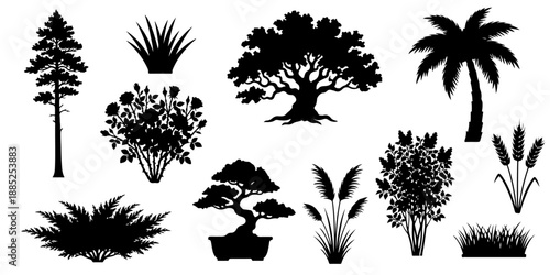Black silhouettes set of various trees and plants including pine, oak, palm, bonsai, rose bush and grass isolated on transparent