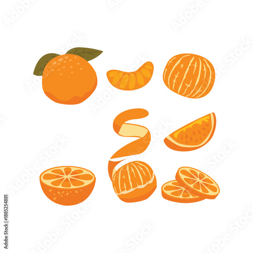Orange fruits illustration on white background