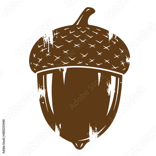 Drawing Vintage grunge  texture Brown acorn with cap illustration on white background