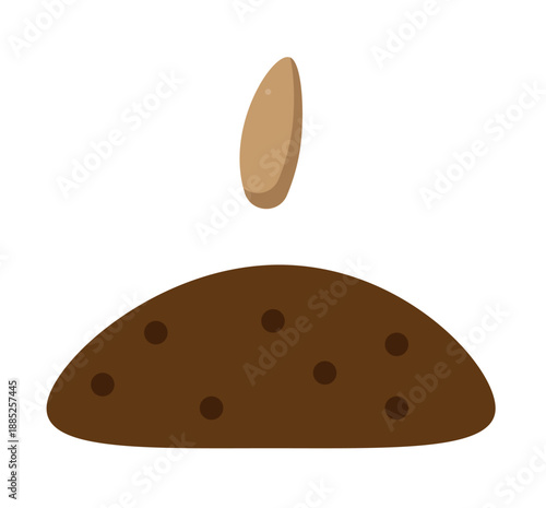 seed land, planting, future plant,