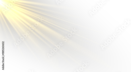 Magical sun flare with sparkling beams and radiant golden highlights.