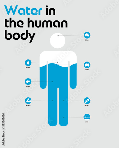 体の水分量チャート