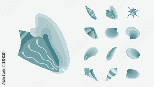 Seashells and beach shells icons set