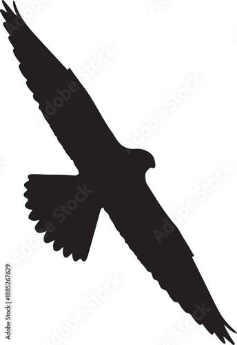 Schilderij op canvas Peregrine Falcon flying in silhouette look white background.