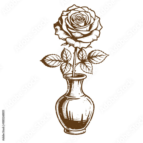 Drawing Vintage grunge  texture Brown rose in a vase with leaves isolated on white background