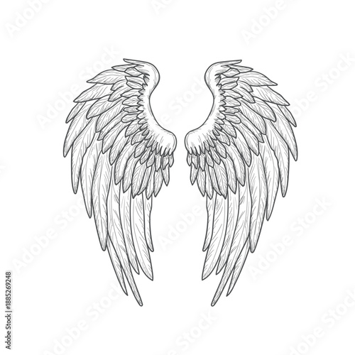 Hawk or eagle wings, black and white sketch. Vector illustration. Bird wings and feathers isolated on white background. Mystical angel or griffin wings for tattoos, t-shirts, stickers, and other uses