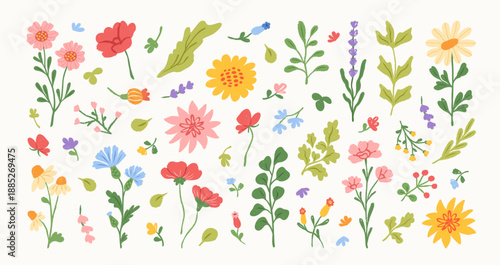 Set of spring and summer abstract hand drawn flowers. Floral cute doodle elements, wildflower, leaves and herb, plants, foliage. Colorful drawing brush, crayon, line. Vector illustration.