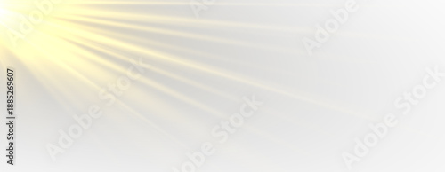 Golden starlight overlay with glowing rays and sparkling festive highlights.