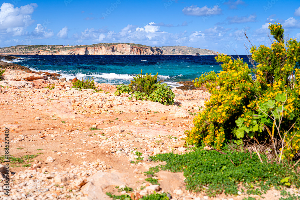 Fototapeta premium Picturesque island in Mediterranean Sea with natural landscapes, Malta.