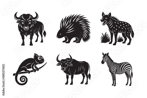 Poodle Groomed Energetic Pet Silhouette