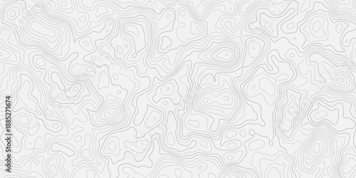 Abstract Black and White Terrain Contour Line Map Design
Seamless topographic pattern showcasing smooth elevation transitions and classic geography style