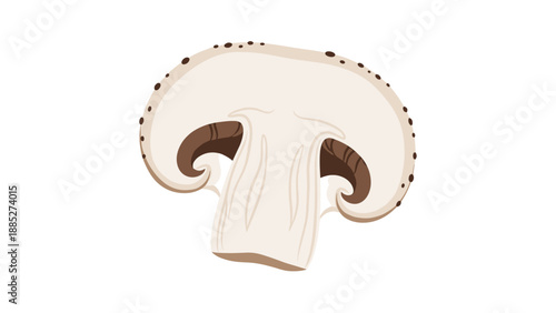 Detailed cross-section illustration of a fresh mushroom showing the internal structure of the cap, gills, and stem on a white background.