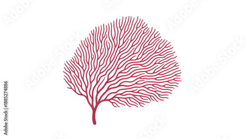 Detailed illustration of sea fan coral branch in reddish maroon color isolated on white background for marine biology and ocean life.