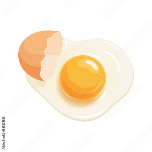 Cracked Egg Illustration Broken Eggshell Yolk White Food Breakfast