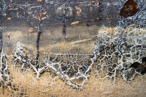 Colorful patterns on old wooden floor for the background.