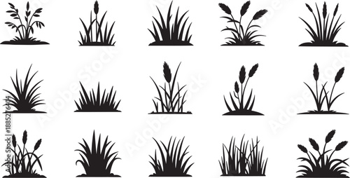 Set of black silhouette grass and plants