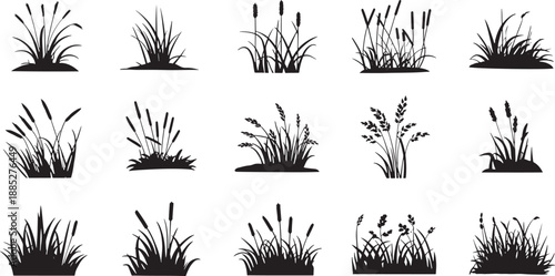 Set of black silhouettes of various grass and plants on white background for design