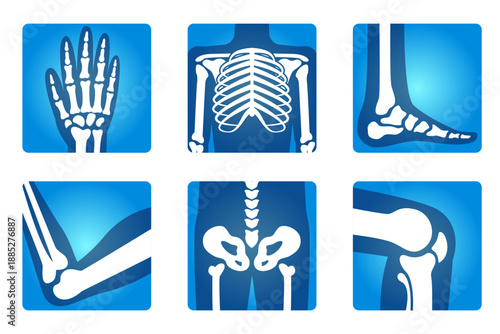 medical xray icons showing human skeleton bones anatomy vector illustration collection orthopedic symbols including hand chest foot elbow pelvis and knee joint