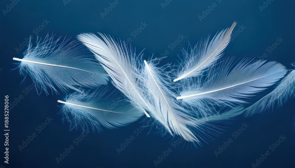 Fototapeta premium Floating White Feathers on a Deep Blue Background - Serenity and Lightness.