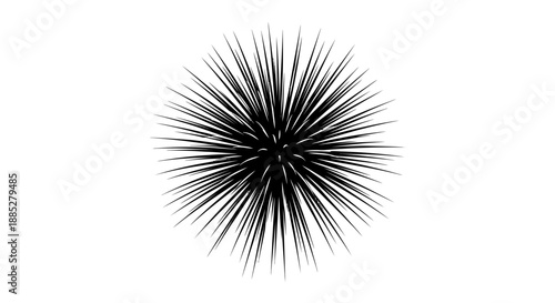 Striking black and white graphic design element depicting a spiky sea urchin or abstract spiky explosion isolated against a clean white background