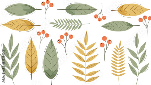 Botanical vector illustration, green and yellow leaves, red berry clusters, nature design elements, seasonal foliage graphics, plant artwork for decoration