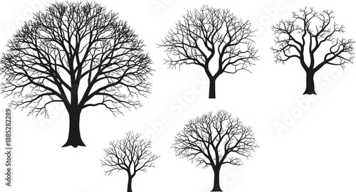 Leafless tree silhouette bundle, black vector illustration set, winter forest elements, bare branches graphics for nature, seasonal, and design use