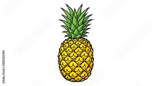 Vibrant Hand-Drawn Pineapple Illustration with Green Leaves and Textured Skin.