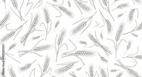 Hand drawn seamless pattern of wheat ears and grains in vintage sketch style for bakery and agricultural background designs.