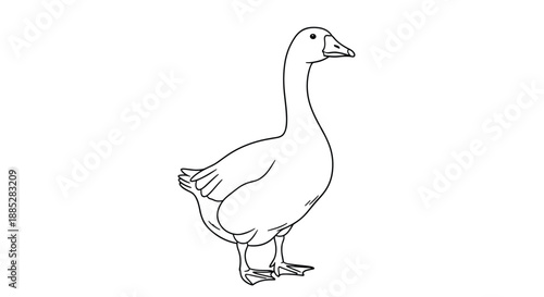 Simple black and white line drawing of a goose standing still isolated on white background for coloring or illustration.
