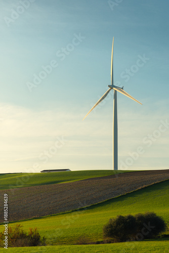 wind turbines in the field