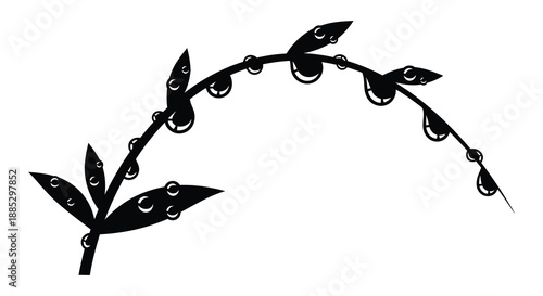 a delicate black branch with rounded water droplets hanging from its curves is presented as a stark silhouette high quality professional