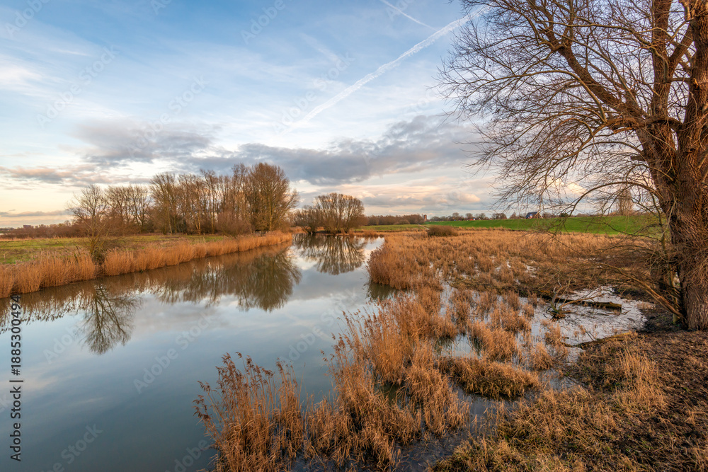Fototapeta premium A Dutch nature reserve with bare trees, yellowed reeds, and a mirror-smooth water surface of a natural stream at the end of a windless winter day.
