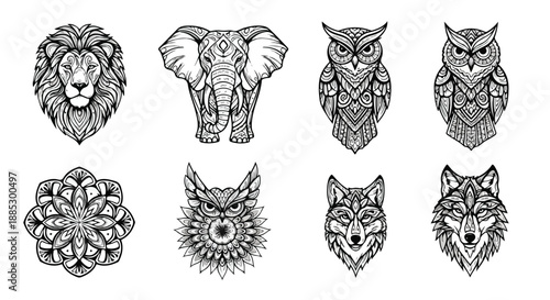 Set of 8 Detailed Mandala Style Animal and Floral Line Art Illustrations Vector