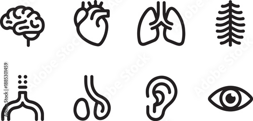 Arrangement of stylized human internal organ symbols represents biological structure and medical knowledge within a clean, schematic format.