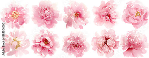 Romantic blush pink flower collection for wedding invitation