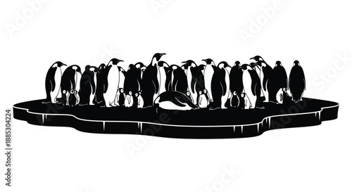 a large group of penguins huddle together on a dark ice floe with one jumping presented as a striking silhouette