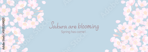 桜の花を両サイドにあしらった背景イラスト