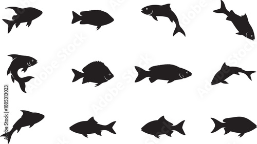 Silhouette of various fish swimming in different directions on white background