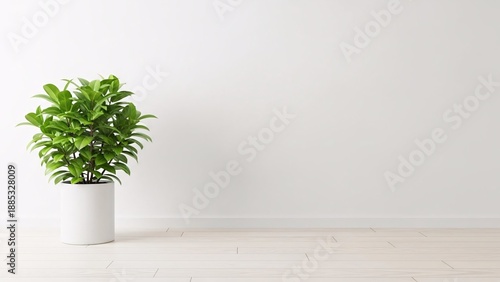 Wallpaper Mural A single potted plant against a plain white wall Torontodigital.ca